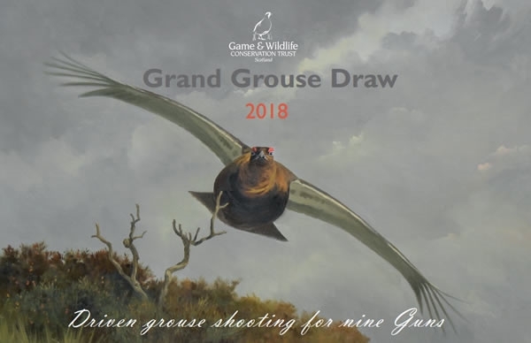 Grand Grouse Draw FLyer 2018-600 Grand Grouse Draw FLyer 2018-600