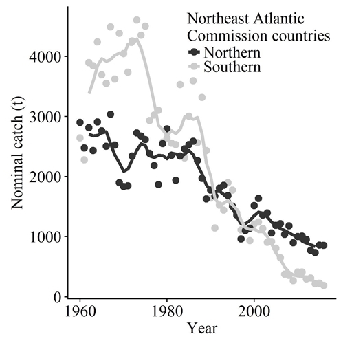 Catches of Atlantic salmon have been declining for decades. In part, this reflects reduced fishing effort but the declines are thought to represent declines in stocks, even after successive fishing quota restrictions.