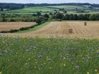 ‘Farmers key to the future of our environment’ says leading conservation charity