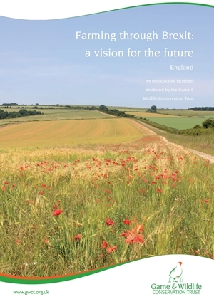Farming Through Brexit