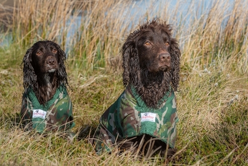 DOGROBES CAMO SHOOT IBI 2018 -2070