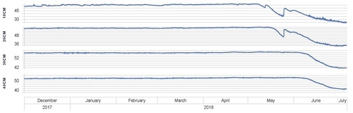 Soil Profile Moisture 060718