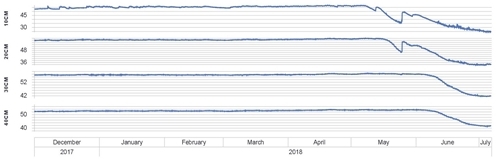 Soil Profile Moisture 060718