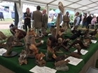 GWCT at BBC Countryfile Live