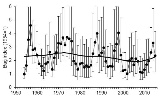 Graph Graph