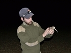 Study reveals 'intriguing' data on popular bird