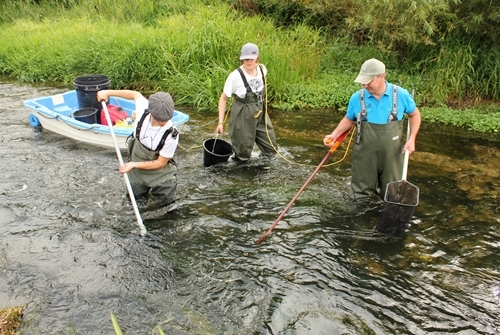 Electrofishing 2 Electrofishing 2