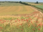 Environmental focus ‘a must’ in new Agriculture Bill, says GWCT