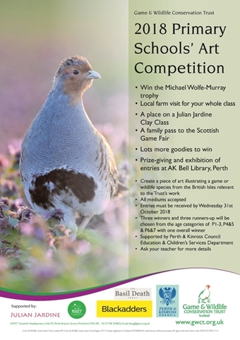 2018 Primary Art Comp Poster 2018 Primary Art Comp Poster