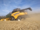 New Kellogg's event explores how farmers and agri-food supply chain can deliver environmental good