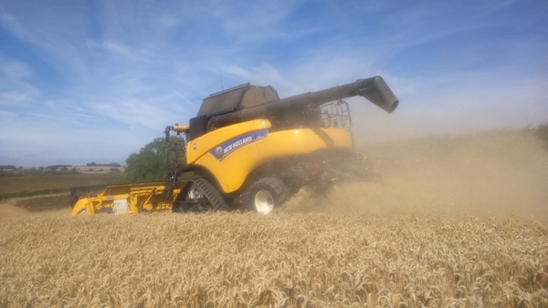 Harvesting Kelloggs Wheat 22nd Aug 15