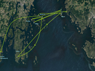 An Island-hopping summer