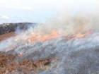 Moor burning on upland peat bogs: Our response to the RSPB