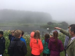 Redmyre Visit Pond