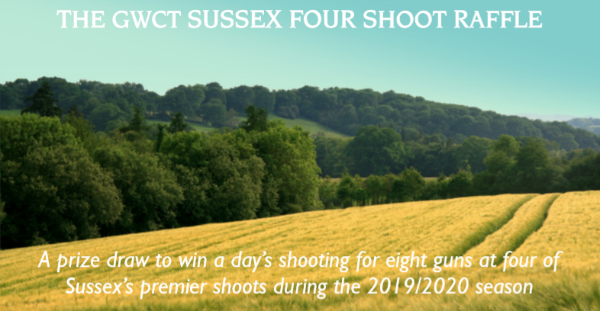 Sussexfour Sussexfour