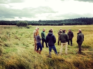 Group on grass