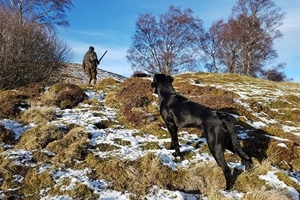 Auchnerran shoot