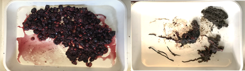 Fig 4 Fig 4