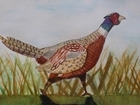 Winners unveiled for GWCT schools' art competition