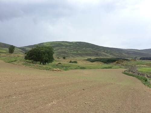 Auchnerran Auchnerran