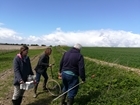 Changes in ground beetle communities on arable land in Sussex over 40 years