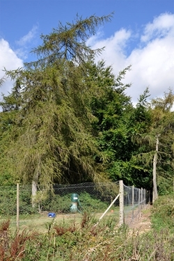 Release pen