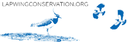 GWCT LIFE Waders For Real Lapwingconservationorg Small