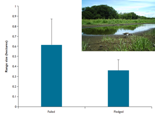 GWCT LIFE Waders For Real Chick Range Graph