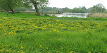 The Landscape
