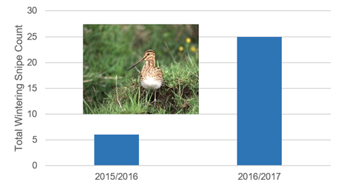 GWCT LIFE Waders For Real _snipe Graph GWCT LIFE Waders For Real _snipe Graph