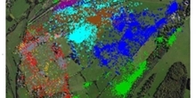 Red fox GPS tracking