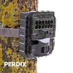Perdix 1