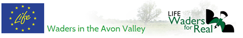 Banner Banner