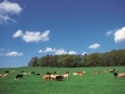 Championing the Farmed Environment: CFE relaunch