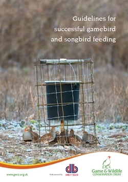 Guidelines for successful gamebird and songbird feeding