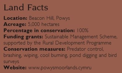 Cymru Cymru