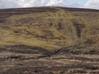 Return of the Welsh Grouse