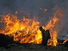 ‘We can’t ignore it’: Experts tackle wildfire issues at GWCT debate