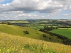 Conservation Covenants – tell Defra what you think