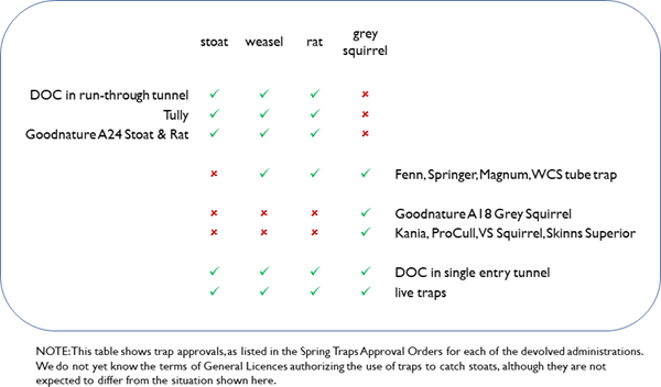 Trap options 2020