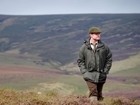 ‘Bit extreme’ to abandon beautiful heather habitat for social justice: Our letter published in the Scotsman