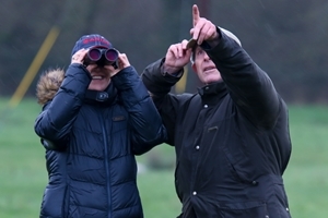 Big Farmland Bird Count -56