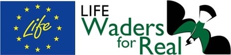 Waders For Real Waders For Real