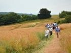 Farmers working hard to overcome insect declines: Our letter to The Guardian
