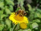 Time running out to enter photography competition